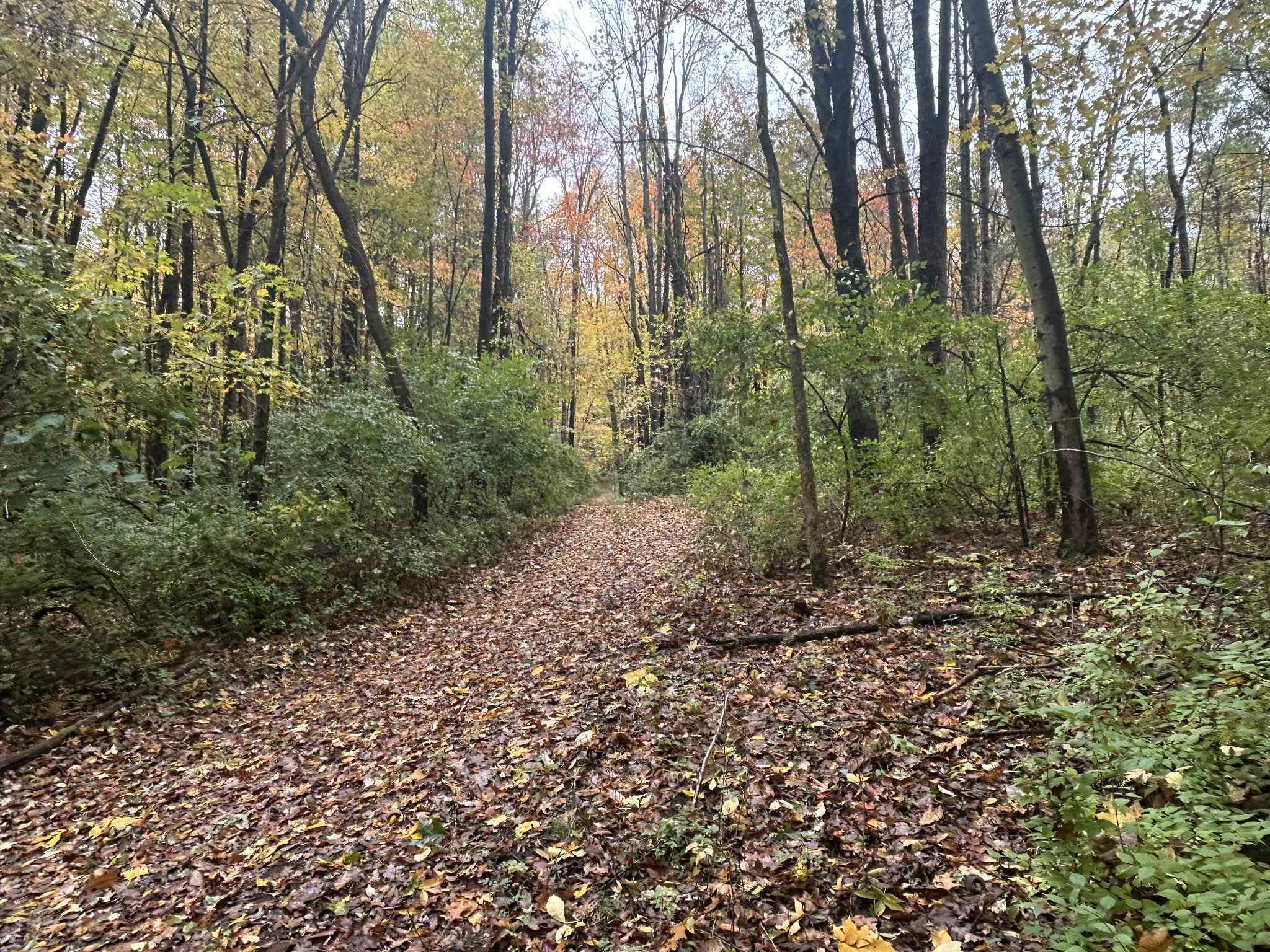 4680 Fitzpatrick Road Jonesville, MI 49250 - Photo 52 of 76 att.bNJmrWdiUcoGNGpjUqQVc_kE6jPHx7aUp1Dg