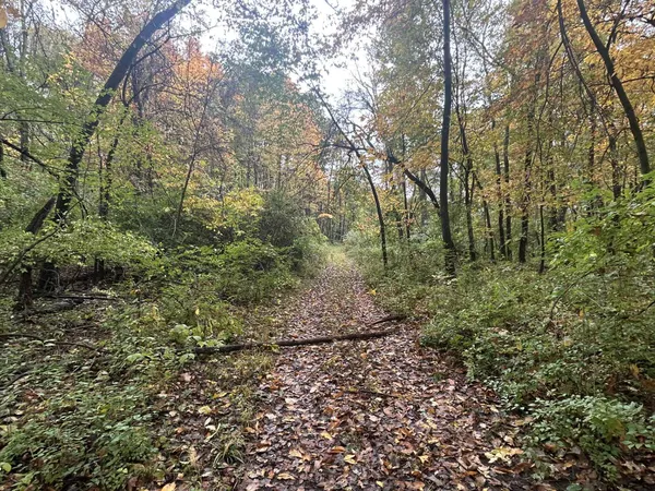 $1,200,000 | 4680 Fitzpatrick Road, Jonesville, MI 49250