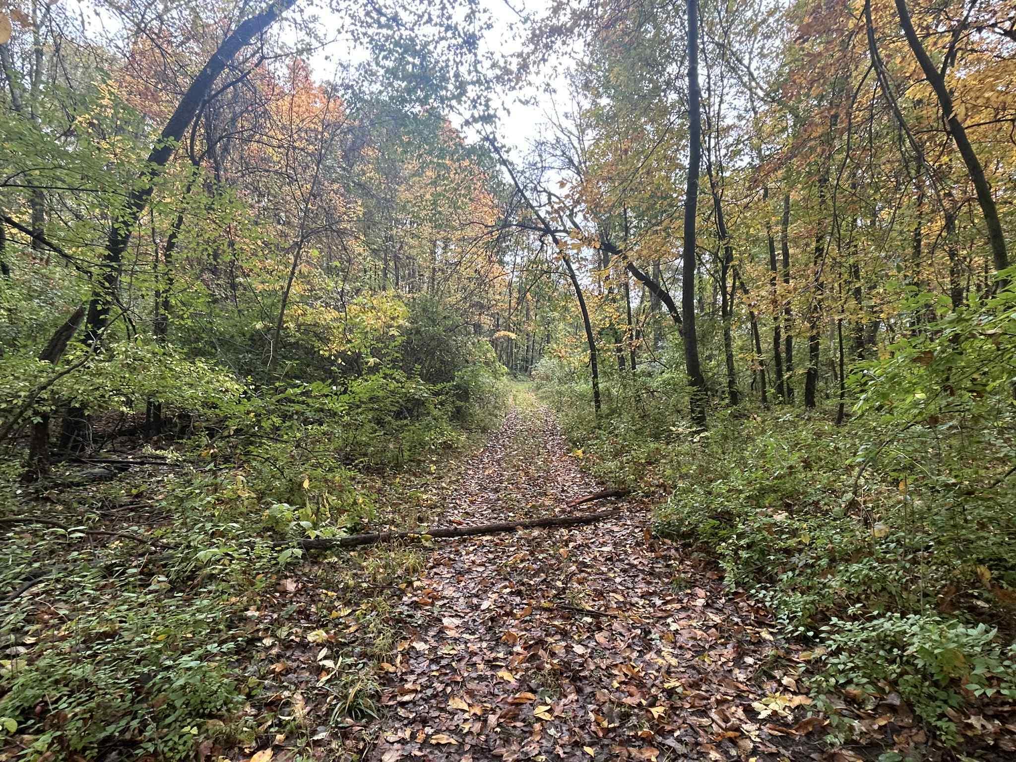 4680 Fitzpatrick Road Jonesville, MI 49250 - Photo 54 of 76 att.DLQQ3tuimi3dBvBiKzVk464Ut9ZrzNPUFeuc