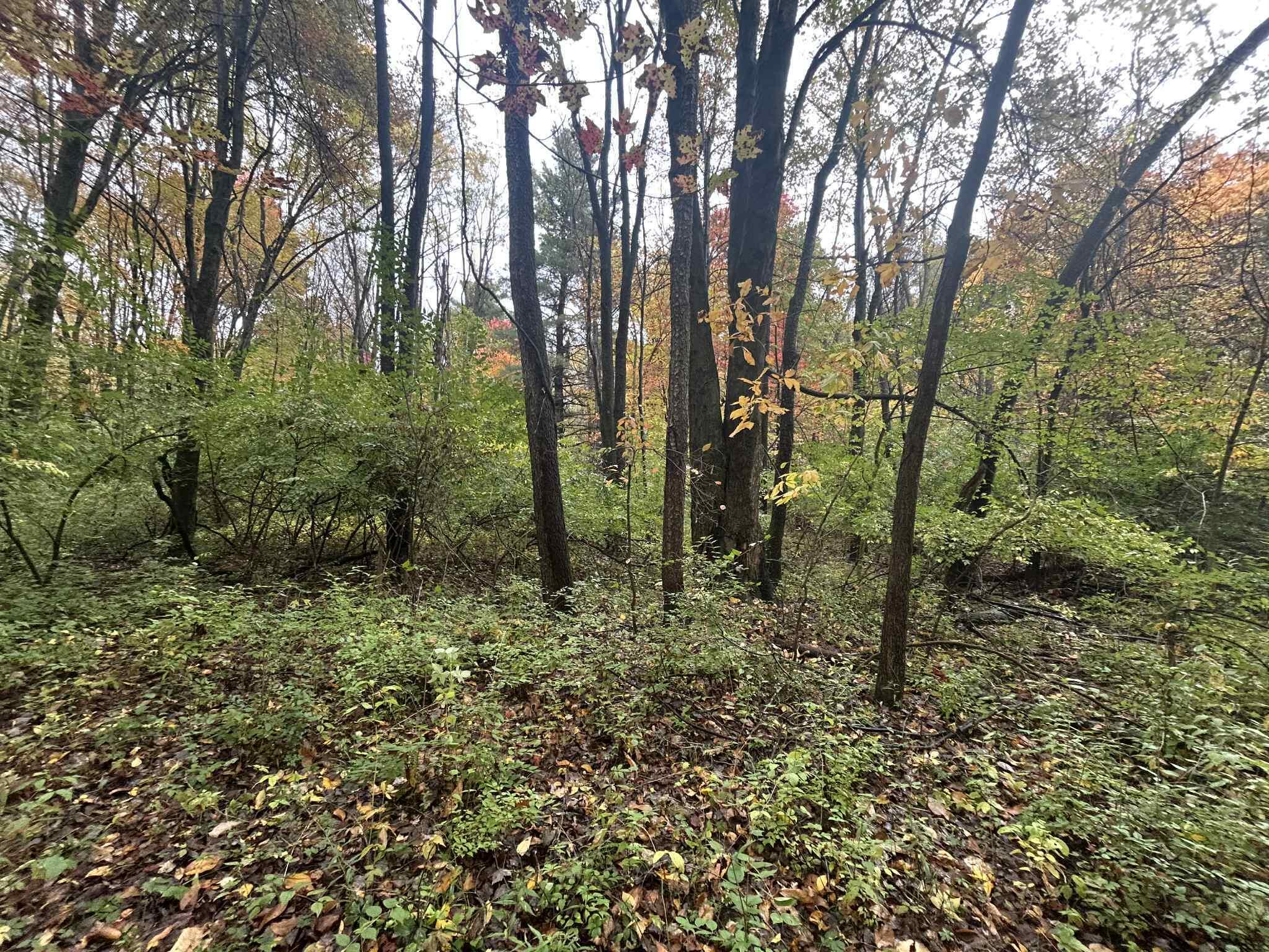 4680 Fitzpatrick Road Jonesville, MI 49250 - Photo 56 of 76 att.LFfsfpQcmsyp9Z_wnal2Nd1xMfIwLwfSYSmt