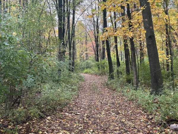 $1,200,000 | 4680 Fitzpatrick Road, Jonesville, MI 49250