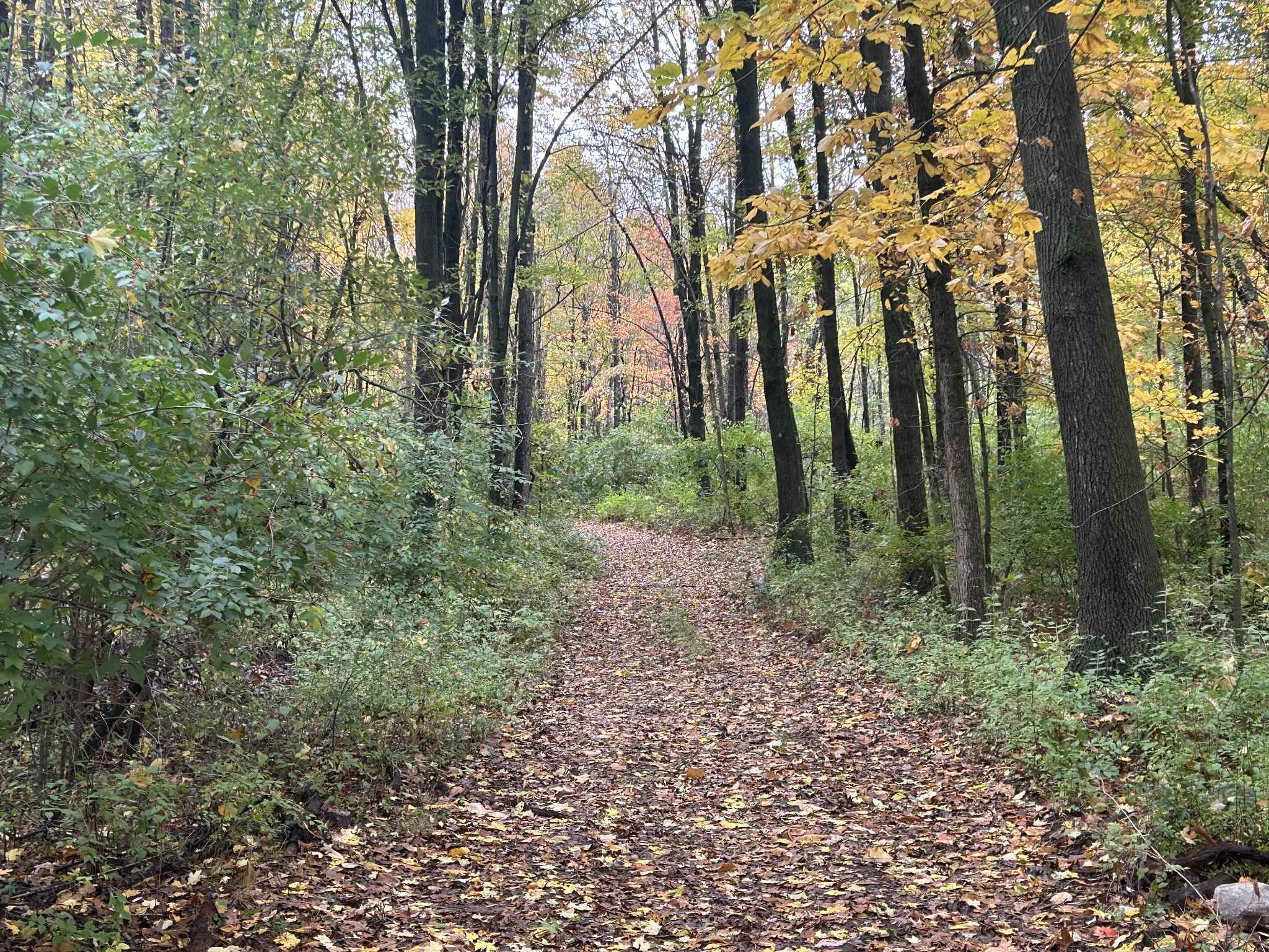 4680 Fitzpatrick Road Jonesville, MI 49250 - Photo 57 of 76 att.lPpVn1LC7bajhmI-Gaeu3Ra9ODcCm7nEx3zB