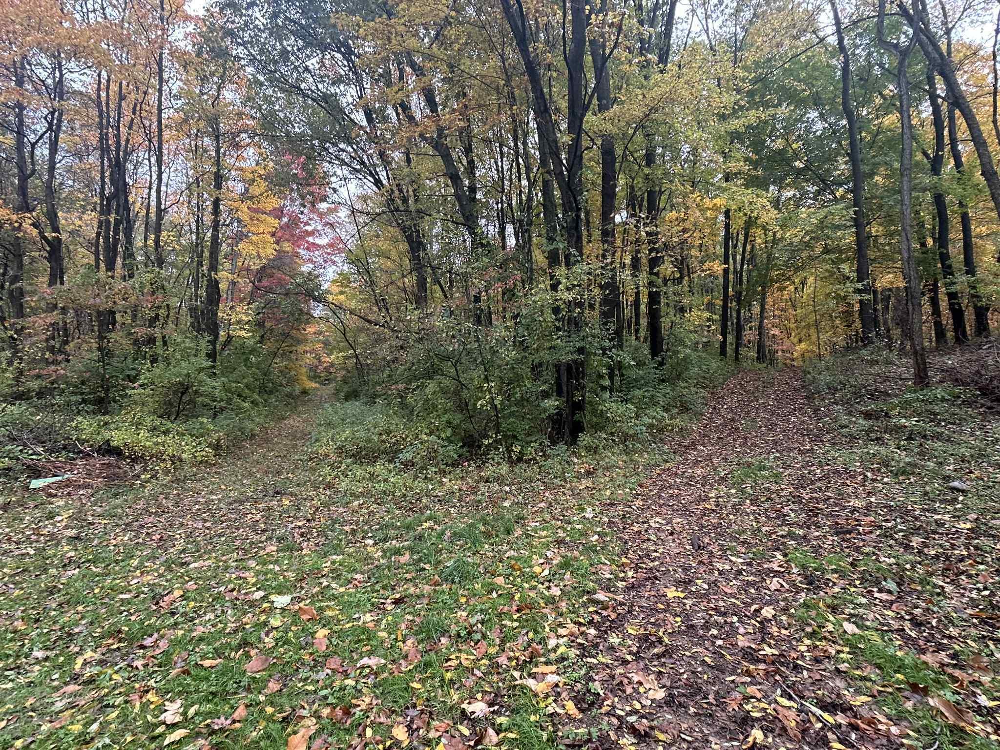 4680 Fitzpatrick Road Jonesville, MI 49250 - Photo 58 of 76 att.TJwQhJi4iTIC9PiwJKsh7pA3jo_NorYsIxzt