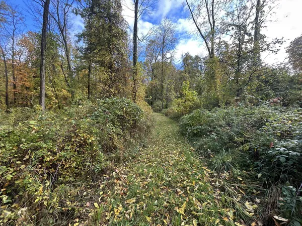 $1,200,000 | 4680 Fitzpatrick Road, Jonesville, MI 49250