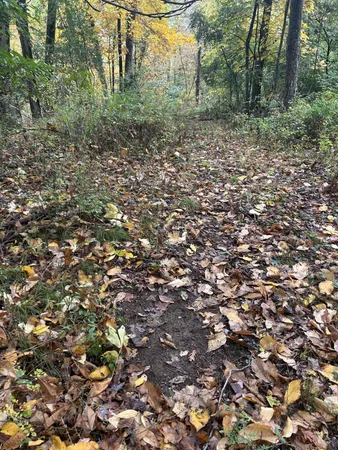 $1,200,000 | 4680 Fitzpatrick Road, Jonesville, MI 49250