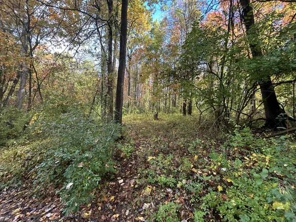 $1,200,000 | 4680 Fitzpatrick Road, Jonesville, MI 49250