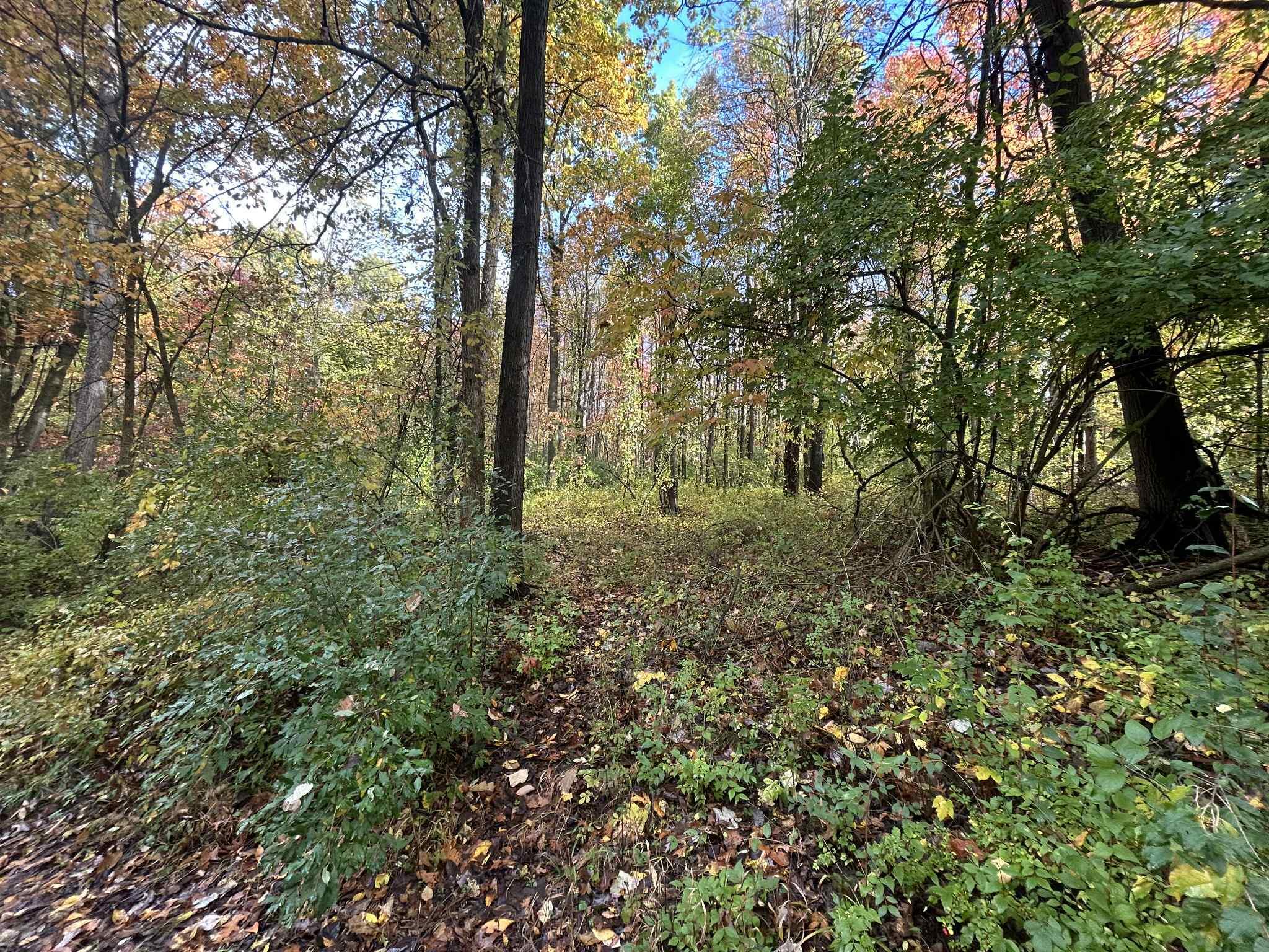 4680 Fitzpatrick Road Jonesville, MI 49250 - Photo 63 of 76 att.4o0HsdfmlNz9zw_SrbW2FBY1Wn1eH_emgGBf