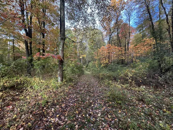 $1,200,000 | 4680 Fitzpatrick Road, Jonesville, MI 49250