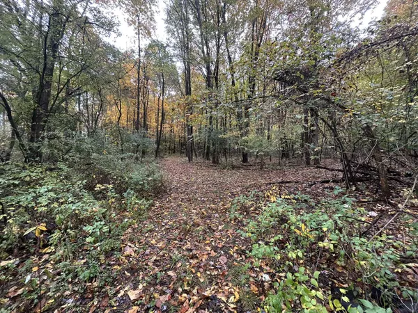 $1,200,000 | 4680 Fitzpatrick Road, Jonesville, MI 49250