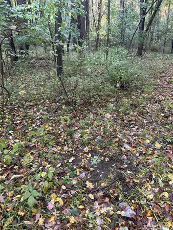 $1,200,000 | 4680 Fitzpatrick Road, Jonesville, MI 49250