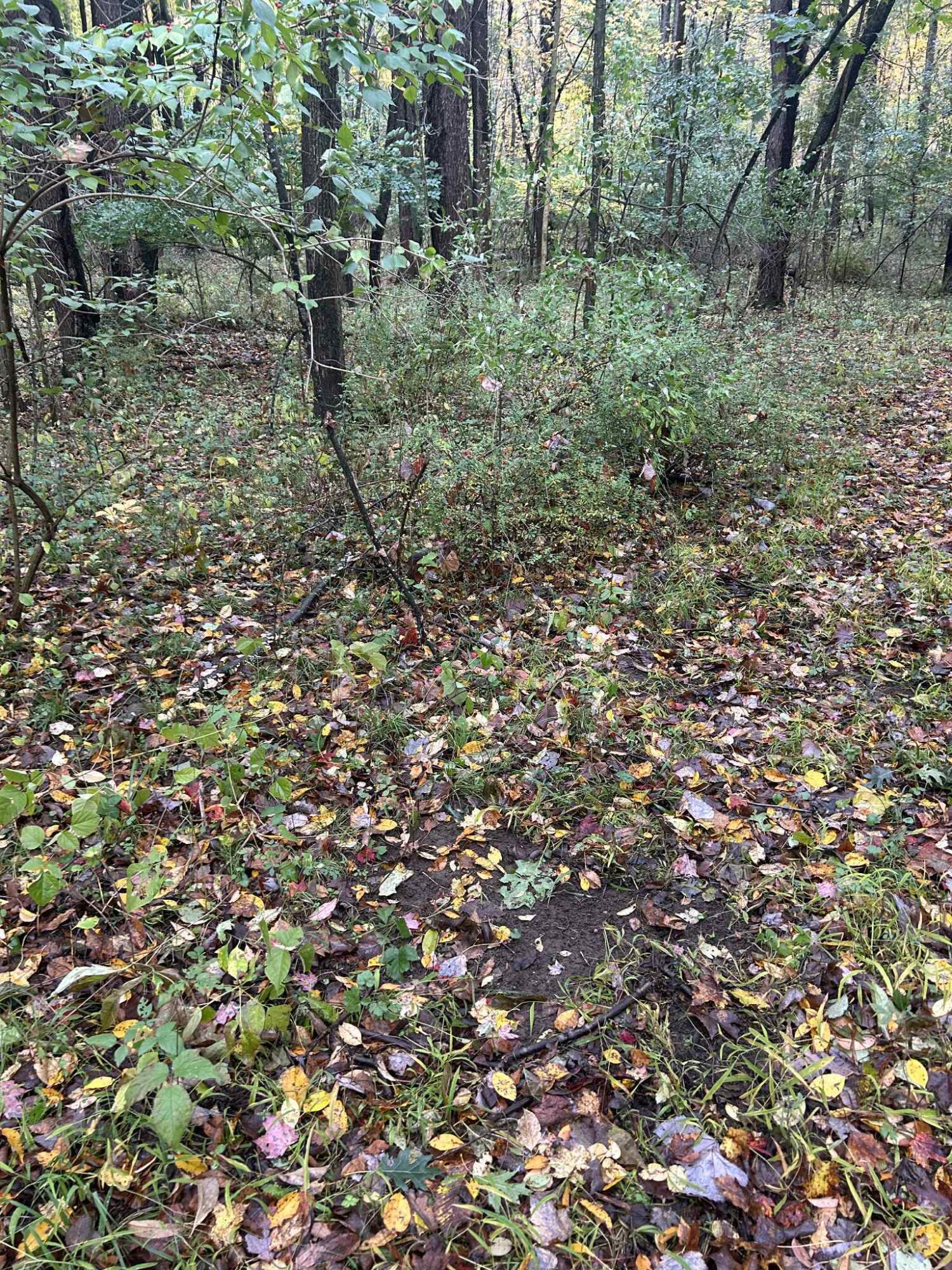 4680 Fitzpatrick Road Jonesville, MI 49250 - Photo 66 of 76 att.4UKWbfSsu2maLiEU5BxykaxQ5cwpsY_l8_ku