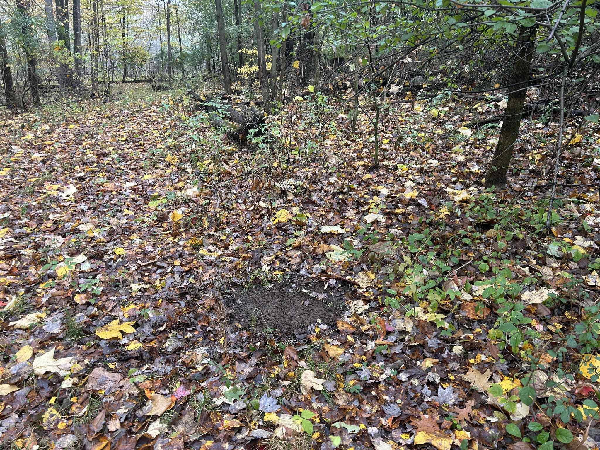 4680 Fitzpatrick Road Jonesville, MI 49250 - Photo 67 of 76 att.DyPYWSWV_FfUd8CCk6UXmuDmUfAE0_OFP_Mn