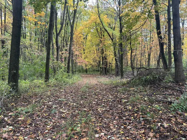 $1,200,000 | 4680 Fitzpatrick Road, Jonesville, MI 49250