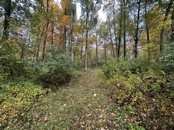 $1,200,000 | 4680 Fitzpatrick Road, Jonesville, MI 49250