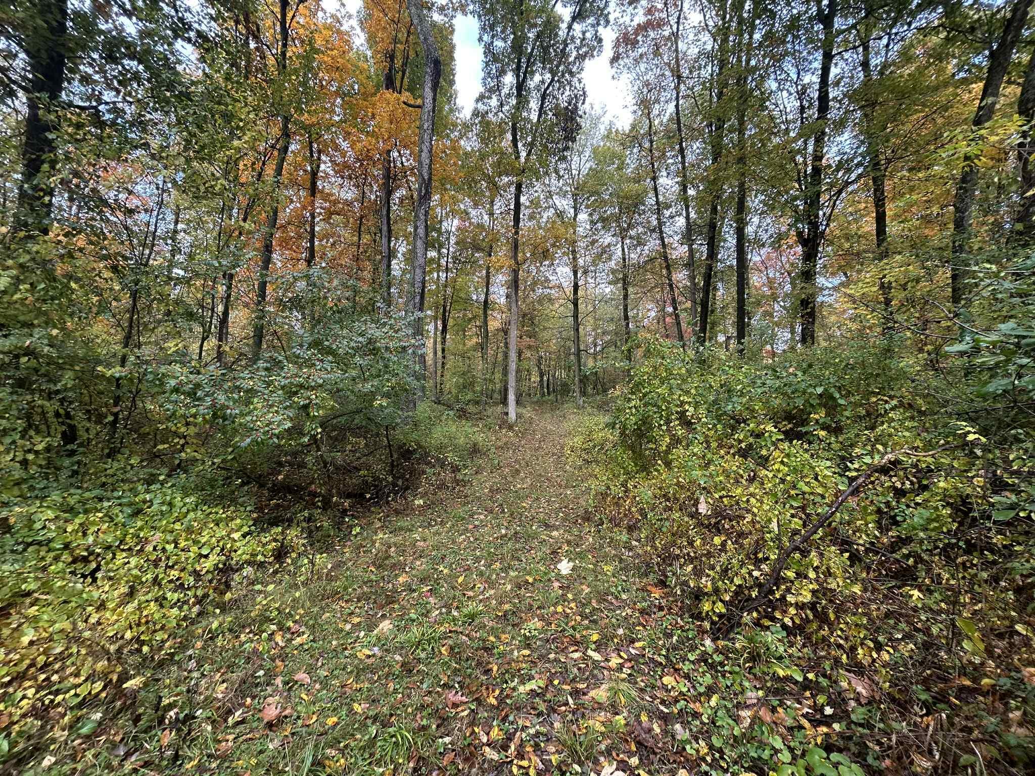 4680 Fitzpatrick Road Jonesville, MI 49250 - Photo 69 of 76 att.BEjWN3EsGZo5xD3JSpUIpVVbvnAddg5bPjMw