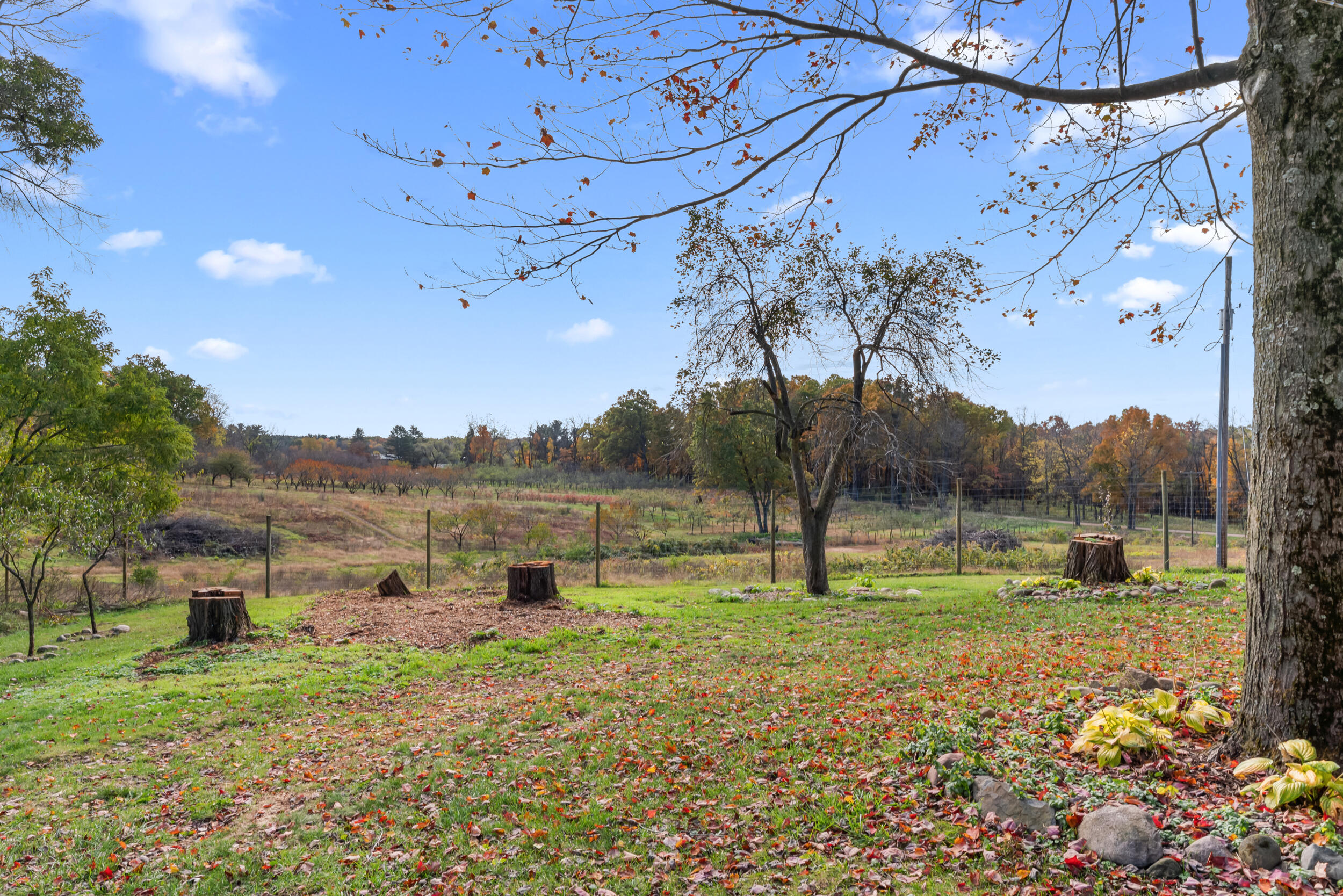 4680 Fitzpatrick Road Jonesville, MI 49250 - Photo 7 of 76 43__dsc1908