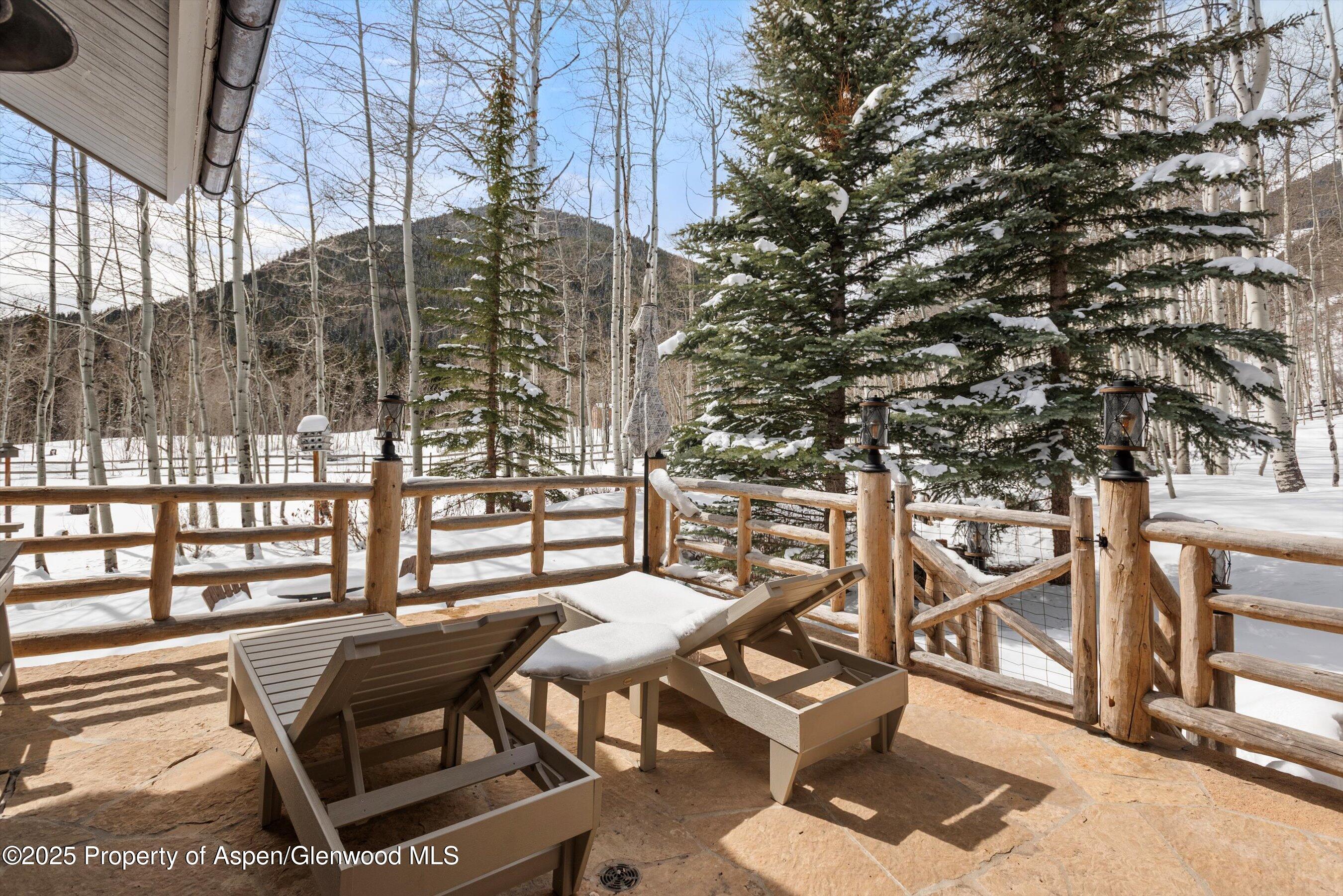 303 Conundrum Creek Road Aspen, CO 81611 - Photo 14 of 39 a patio with table and chairs and potted plants