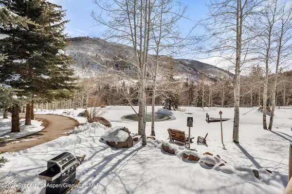 $100,000 | 303 Conundrum Creek Road, Aspen, CO 81611