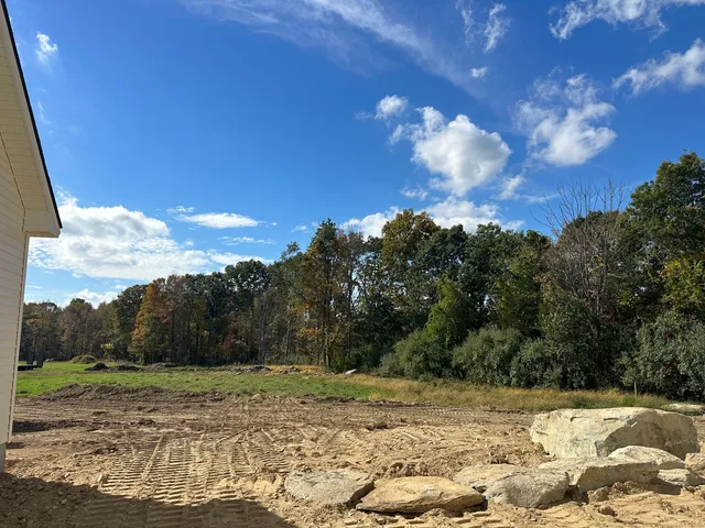 a view of a yard with a tree
