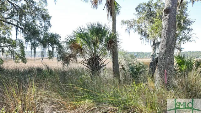 $43,000 | 134 Blackbeard Court, Townsend, GA 31331