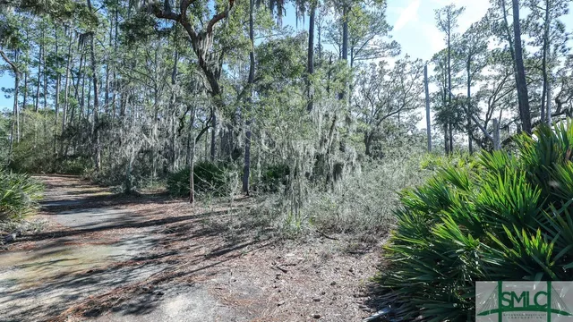 $43,000 | 134 Blackbeard Court, Townsend, GA 31331