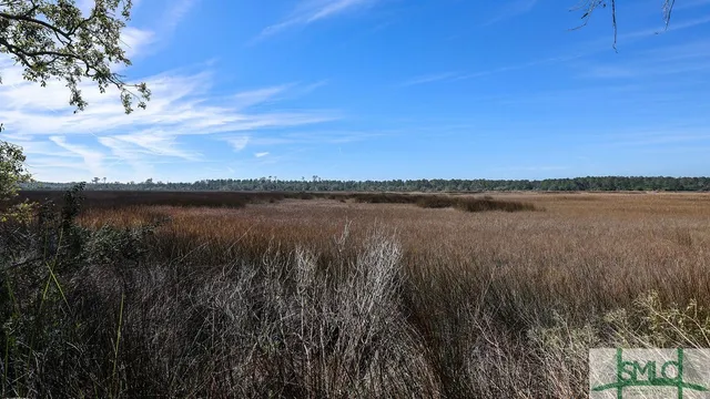 $43,000 | 134 Blackbeard Court, Townsend, GA 31331