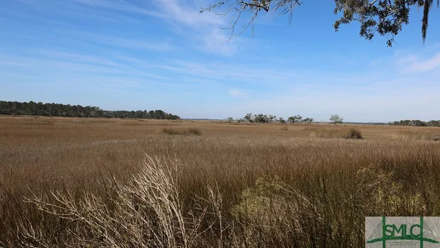 $43,000 | 134 Blackbeard Court, Townsend, GA 31331