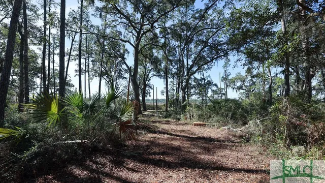 $43,000 | 134 Blackbeard Court, Townsend, GA 31331