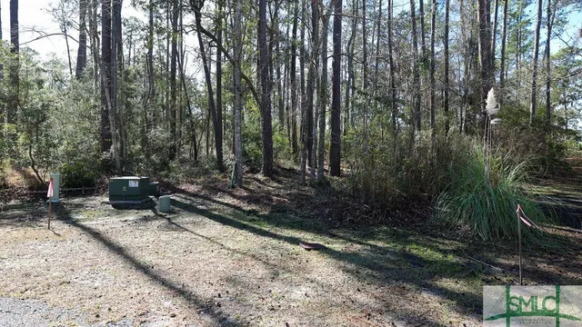 $43,000 | 134 Blackbeard Court, Townsend, GA 31331