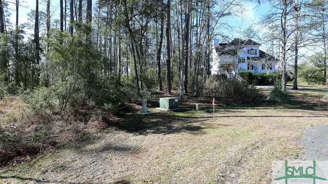 $43,000 | 134 Blackbeard Court, Townsend, GA 31331