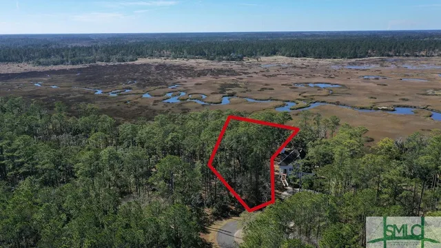 $43,000 | 134 Blackbeard Court, Townsend, GA 31331