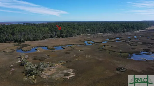 $43,000 | 134 Blackbeard Court, Townsend, GA 31331