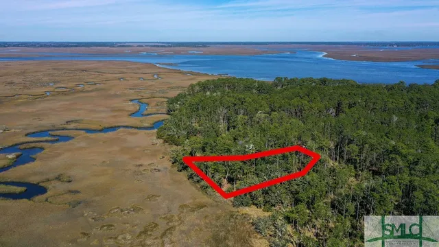 $43,000 | 134 Blackbeard Court, Townsend, GA 31331