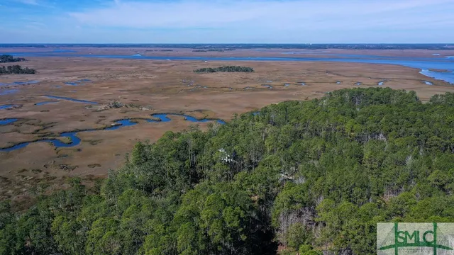 $43,000 | 134 Blackbeard Court, Townsend, GA 31331