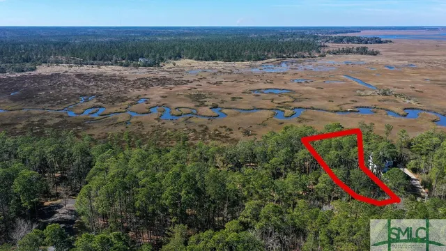 $43,000 | 134 Blackbeard Court, Townsend, GA 31331