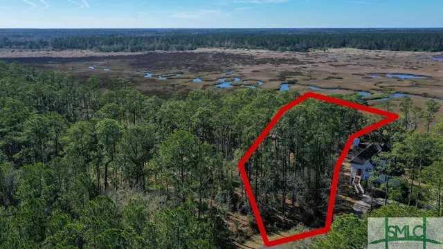 $43,000 | 134 Blackbeard Court, Townsend, GA 31331