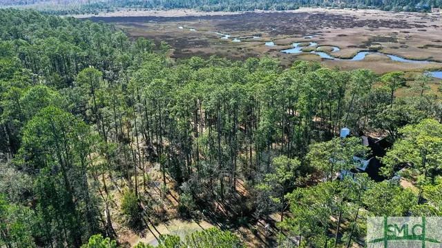 $43,000 | 134 Blackbeard Court, Townsend, GA 31331