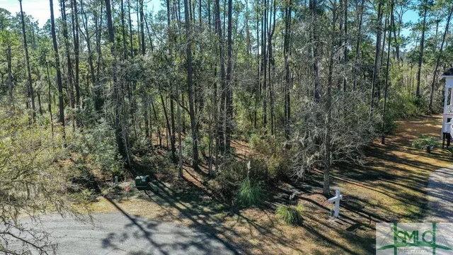 $43,000 | 134 Blackbeard Court, Townsend, GA 31331