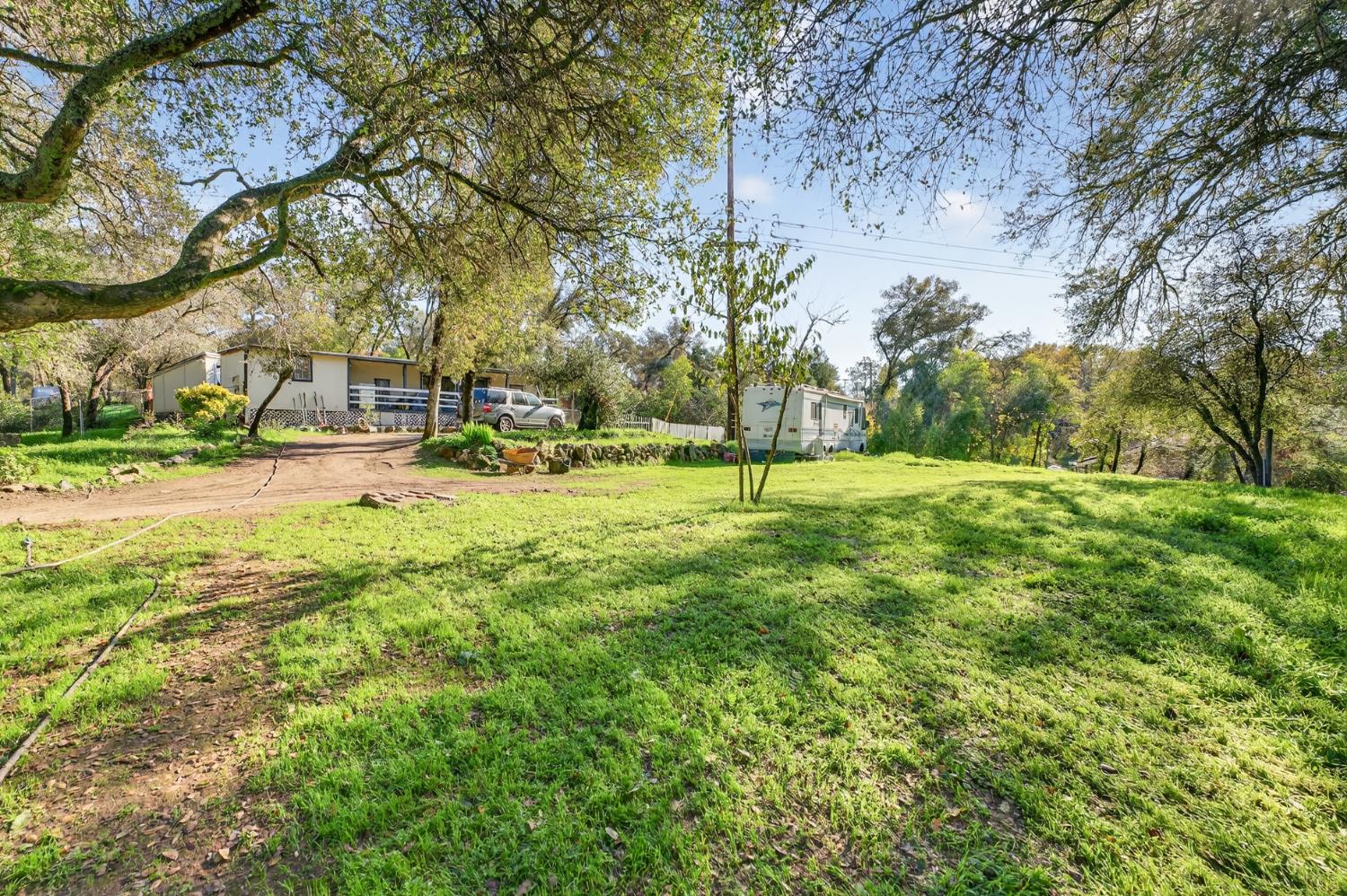 8040 Gilardi Road Newcastle, CA 95658 - Photo 17 of 23 a view of a tree in a park