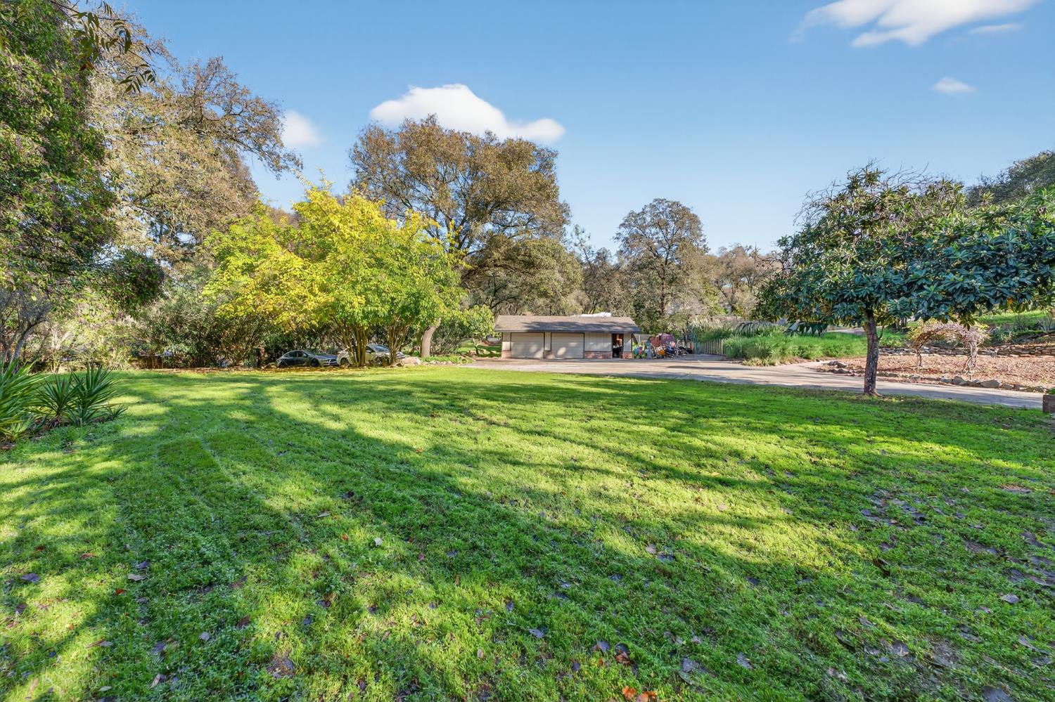 8040 Gilardi Road Newcastle, CA 95658 - Photo 18 of 23 a view of a park with large trees
