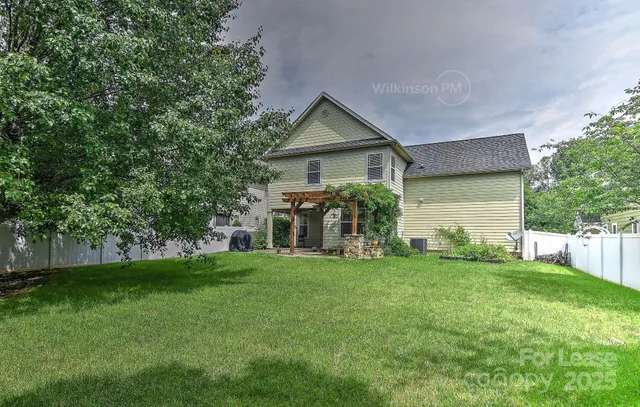 a view of a backyard with plants and a large tree