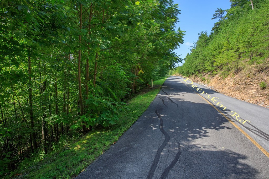 76 Redtail Road Sevierville, TN 37862 - Photo 6 of 23