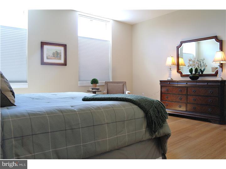 111 Iron Works Way Wayne, PA 19087 - Photo 8 of 15 Master Bedroom