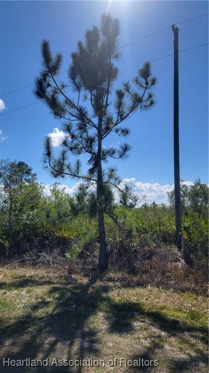 1061 Riding Drive Lorida, FL 33857 - Photo 17 of 21 Gallery Image 17