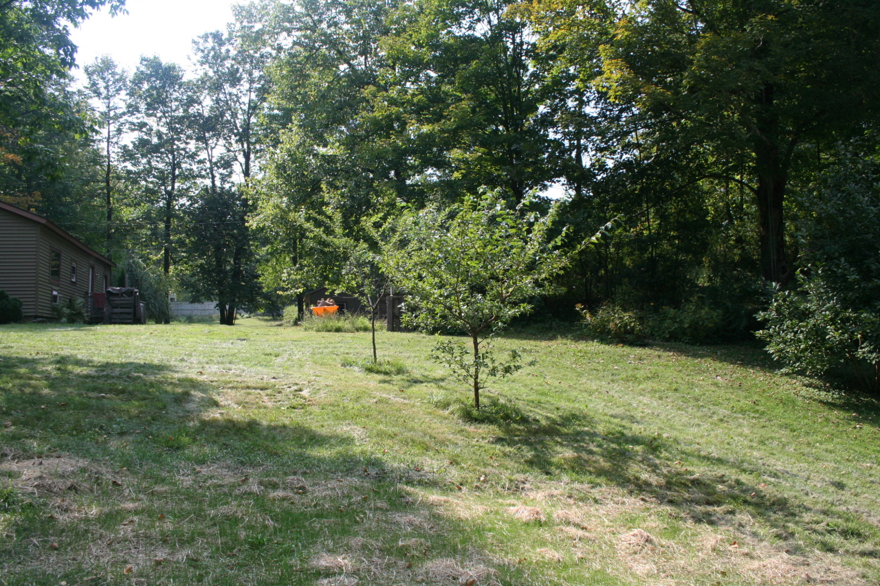 34 Prospect Lake Road Egremont, MA 01230 - Photo 5 of 17 Fruit Trees