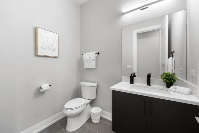 $3,450 | 1606 South Ashland Avenue, Unit 401, Chicago, IL 60608