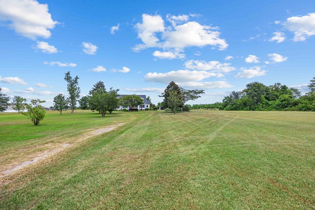 412 Shiloh Road Ray City, GA 31645 - Photo 41 of 107 Gallery Image 41