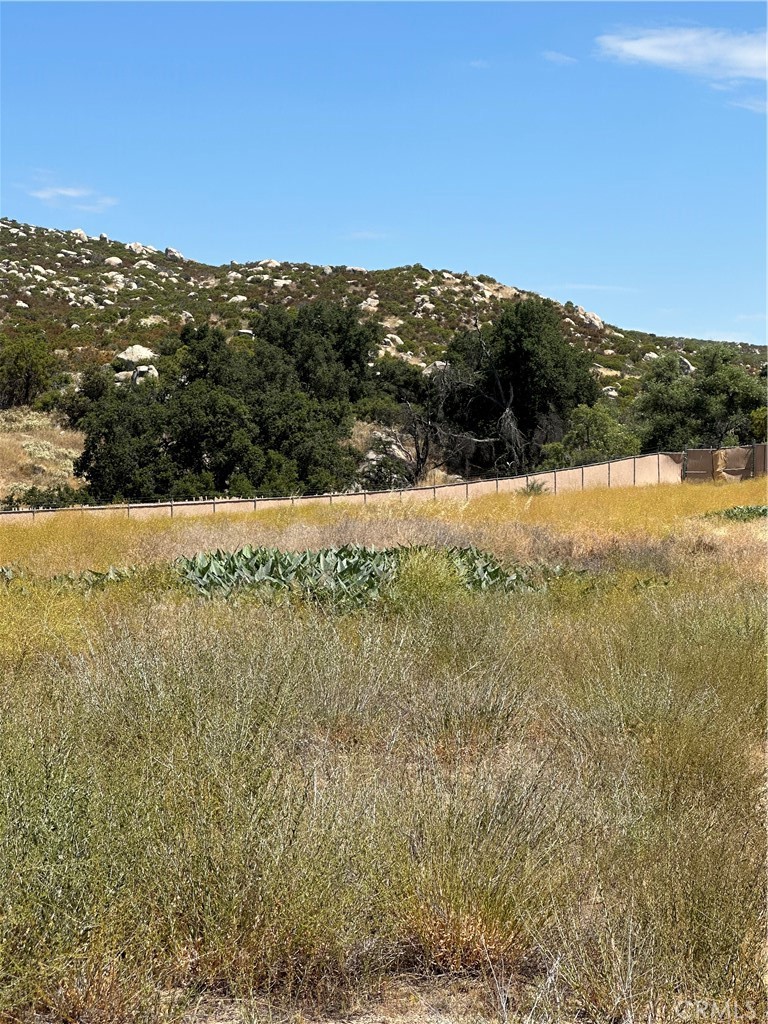 38700 Thomas Road Hemet, CA 92544 - Photo 4 of 30 View of parcel.