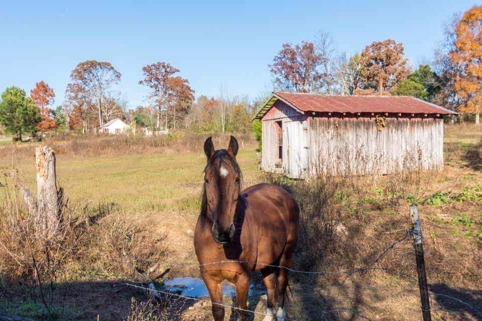 1030 James Snow Road Adolphus, TN 42120 - Photo 7 of 28 Gallery Image 7