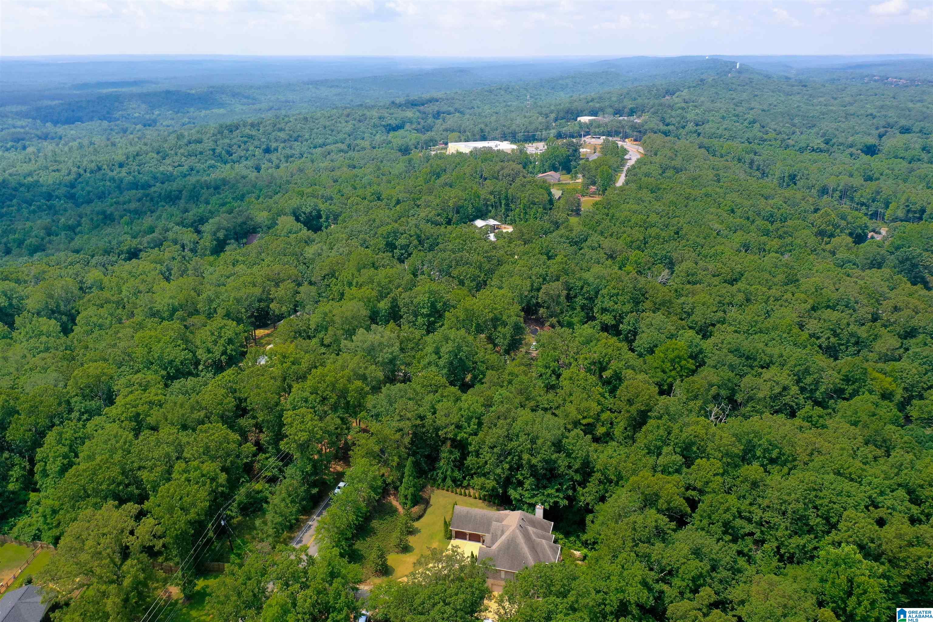 4194 South Shades Crest Road Birmingham, AL 35244 - Photo 33 of 38